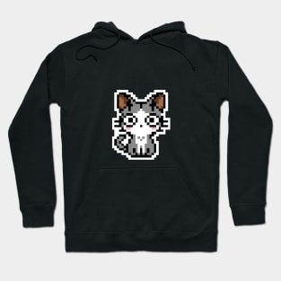 Cat Stare Hoodie